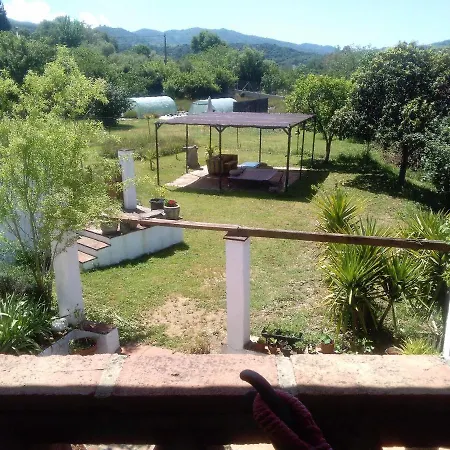 La Rana * Cortes de la Frontera