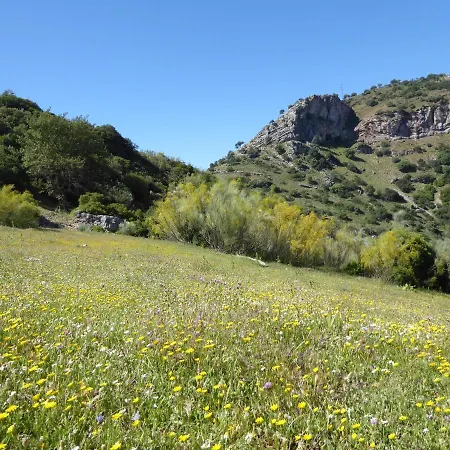 Apartamento La Rana