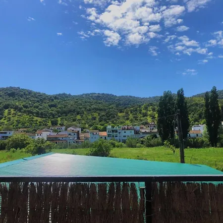 La Rana *