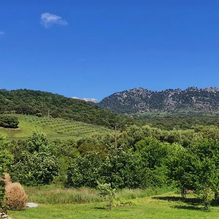 La Rana Apartamento