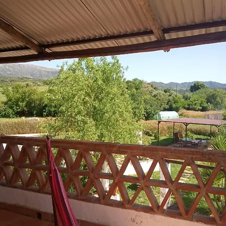La Rana