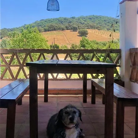 La Rana *