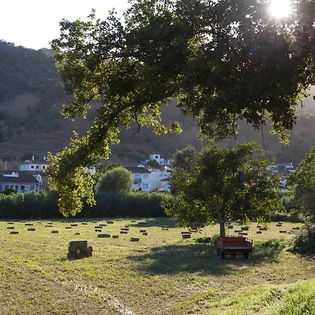 Apartamento La Rana