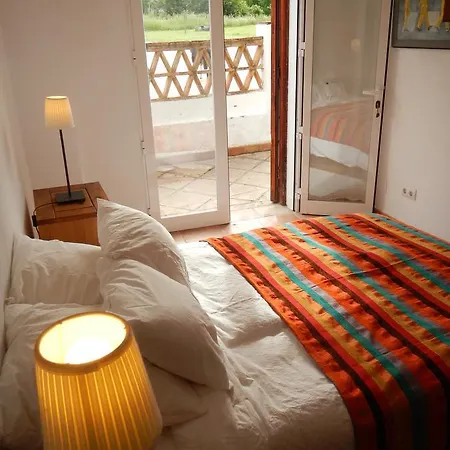 La Rana Apartamento